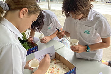 Academic Excellence | Dover Court International School - Visual Time Line Tabs