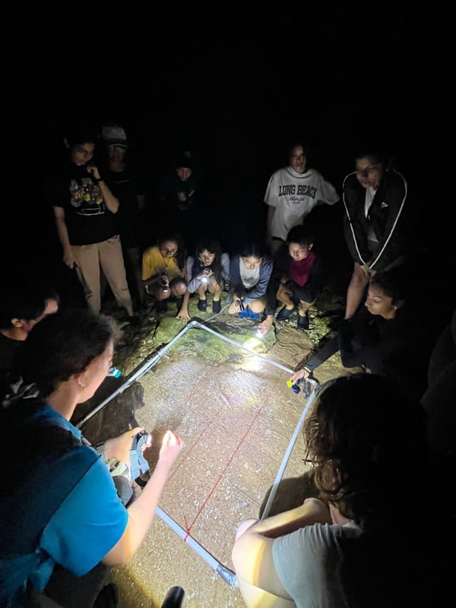 PHOTO20230613135817 22jpg