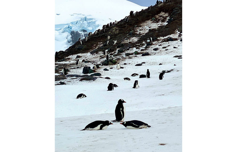 Dover Court International School Singapore DCIS Student Dylans Antarctica Expedition 10jpeg