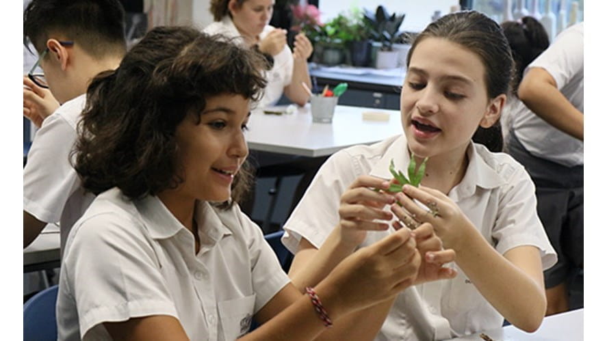 PagelinkimageExperimentingDrawing