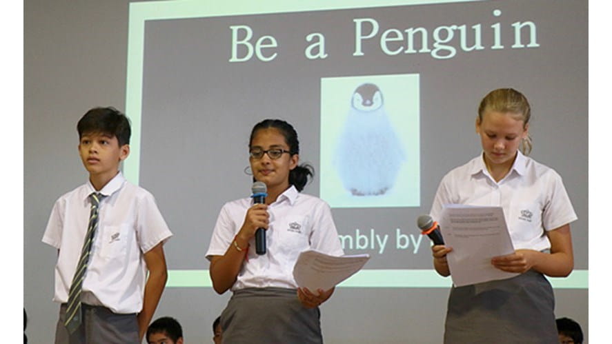 Be a Penguin!-be-a-penguin-PagelinkimageSecondaryAssemblyBeaPenguin