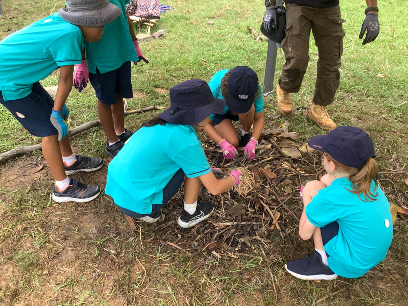 Dover Court Year 4 Residential Camp Unveils a World of Learning and Discovery  - Dover Court Year 4 Residential Camp 2023