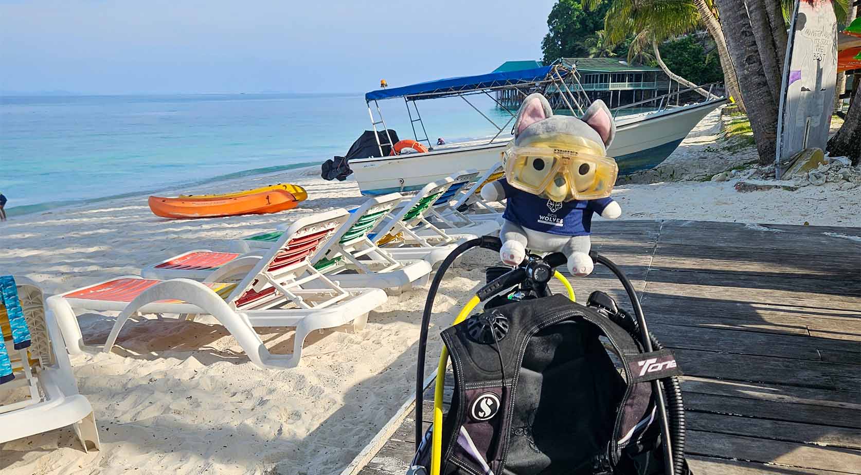 Dover Divers Trip to Rawa - Carousel For News Detail - Dover Divers