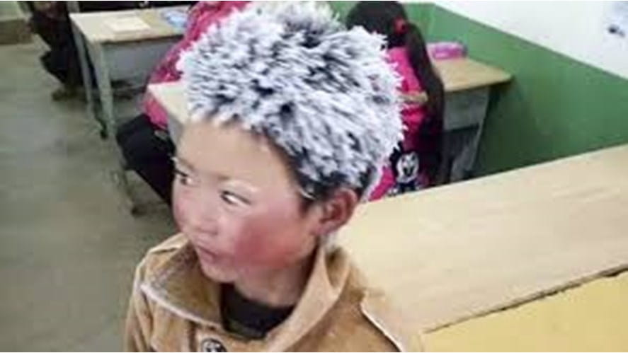 ice boy