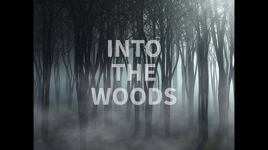Intothewoodsimagev2