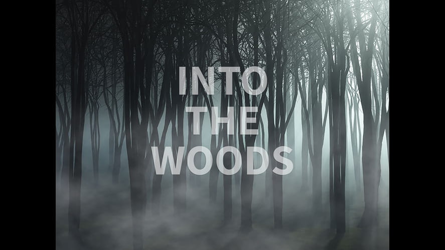 Into the Woods by Harriet, DCIS Year 6-into-the-woods-by-harriet-dcis-year-6-Intothewoodsimagev2