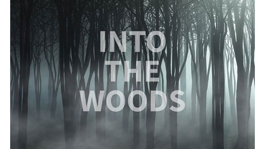 Into the Woods by Harriet, DCIS Year 6-into-the-woods-by-harriet-dcis-year-6-Intothewoodsnewlink