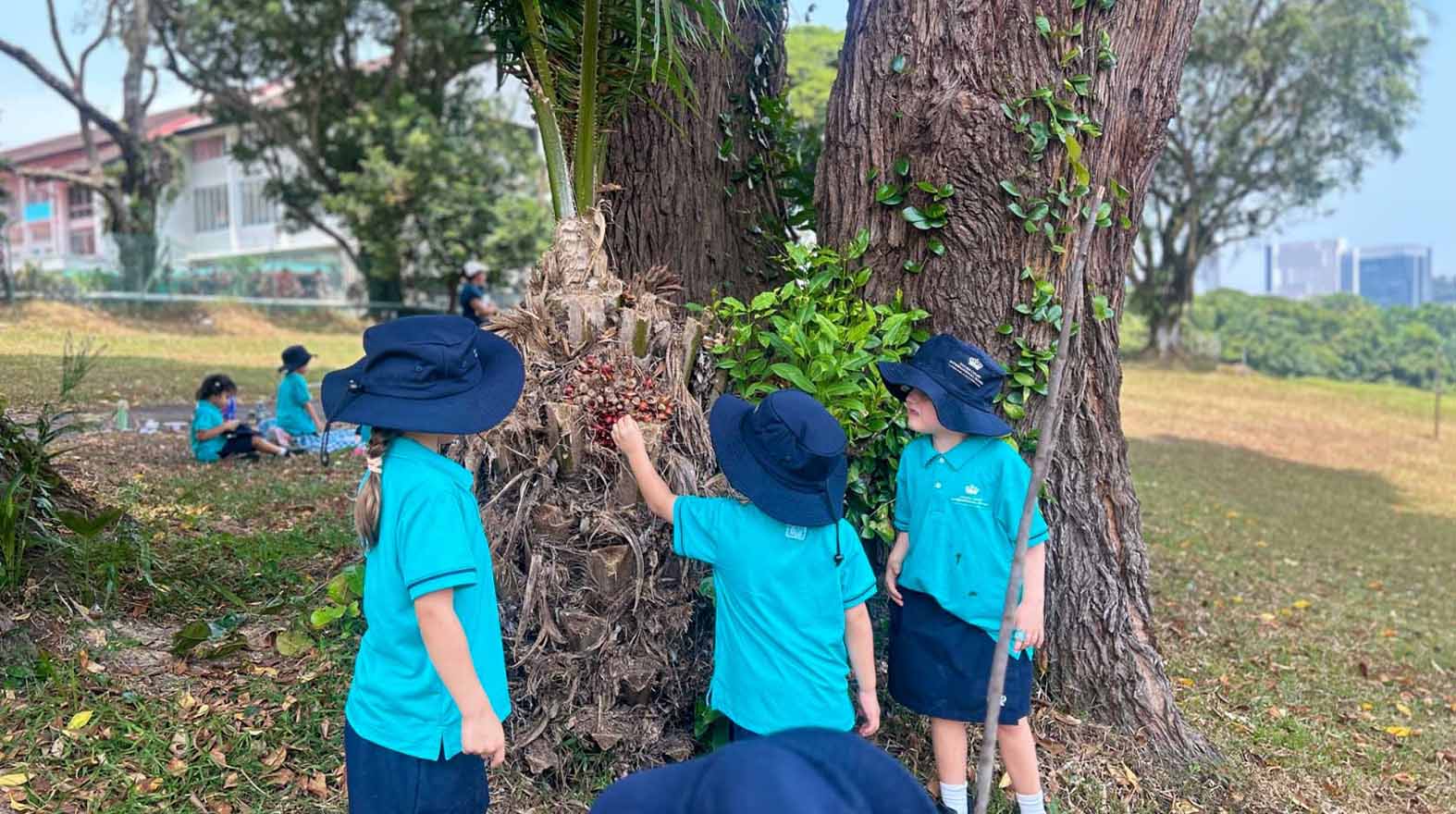 Nature as a Classroom: Outdoor Learning in Early Years | Dover Court Singapore - Nature as a Classroom Big Learning from Small Discoveries