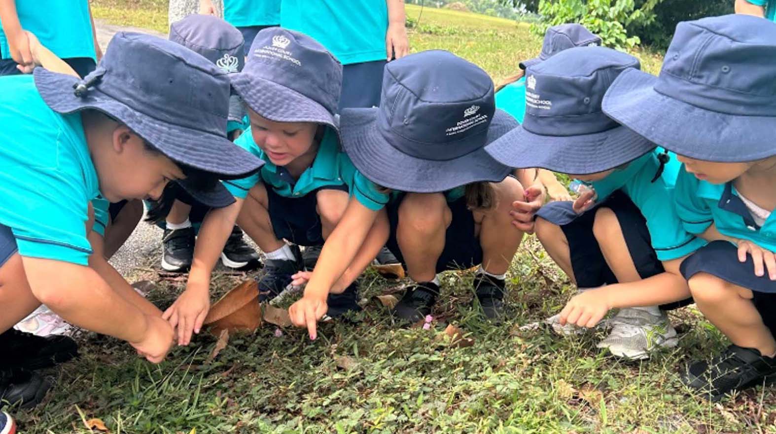 Nature as a Classroom: Outdoor Learning in Early Years | Dover Court Singapore - Nature as a Classroom Big Learning from Small Discoveries