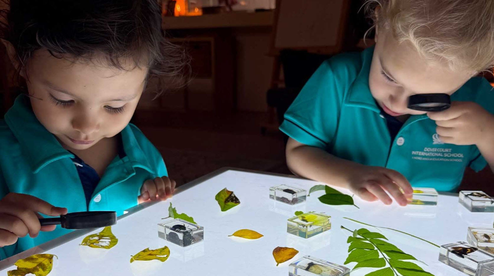 Nature as a Classroom: Outdoor Learning in Early Years | Dover Court Singapore - Nature as a Classroom Big Learning from Small Discoveries