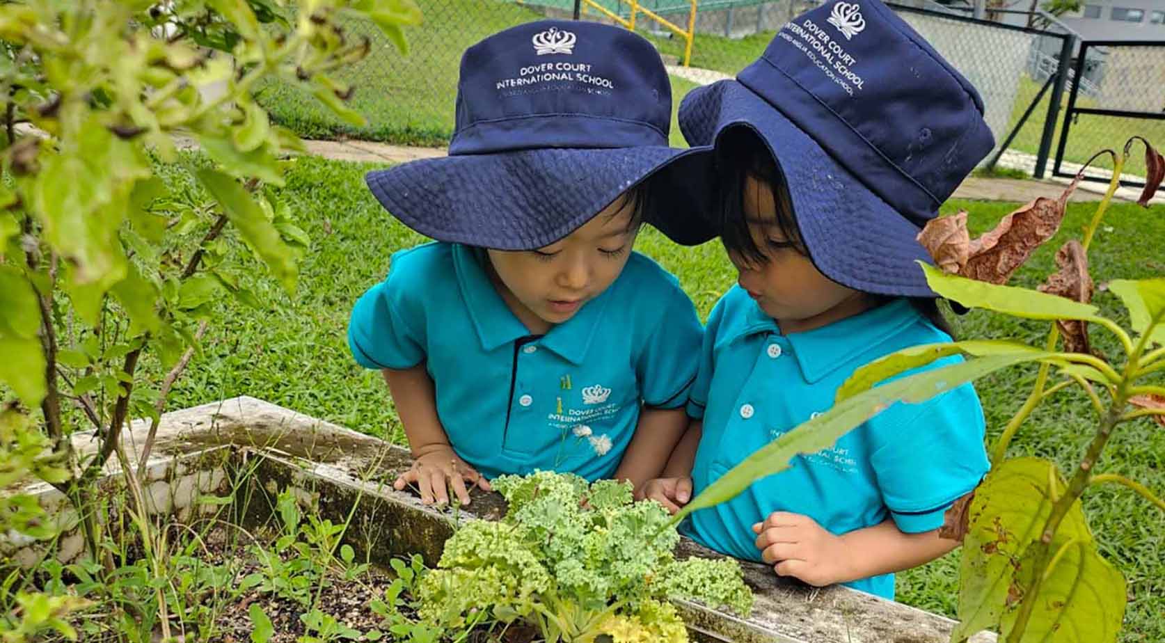 Early Years Learning in Action: How Nature Sparks Curiosity at Dover Court - early-years-hands-on-learning-dover-court-2026