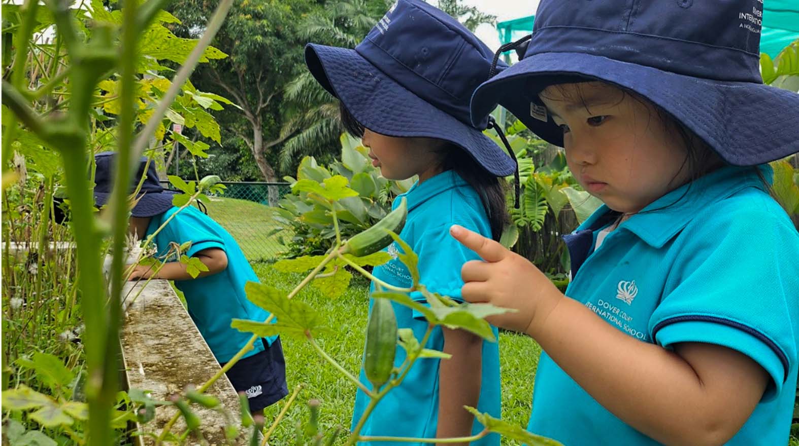 Early Years Learning in Action: How Nature Sparks Curiosity at Dover Court - early-years-hands-on-learning-dover-court-2026