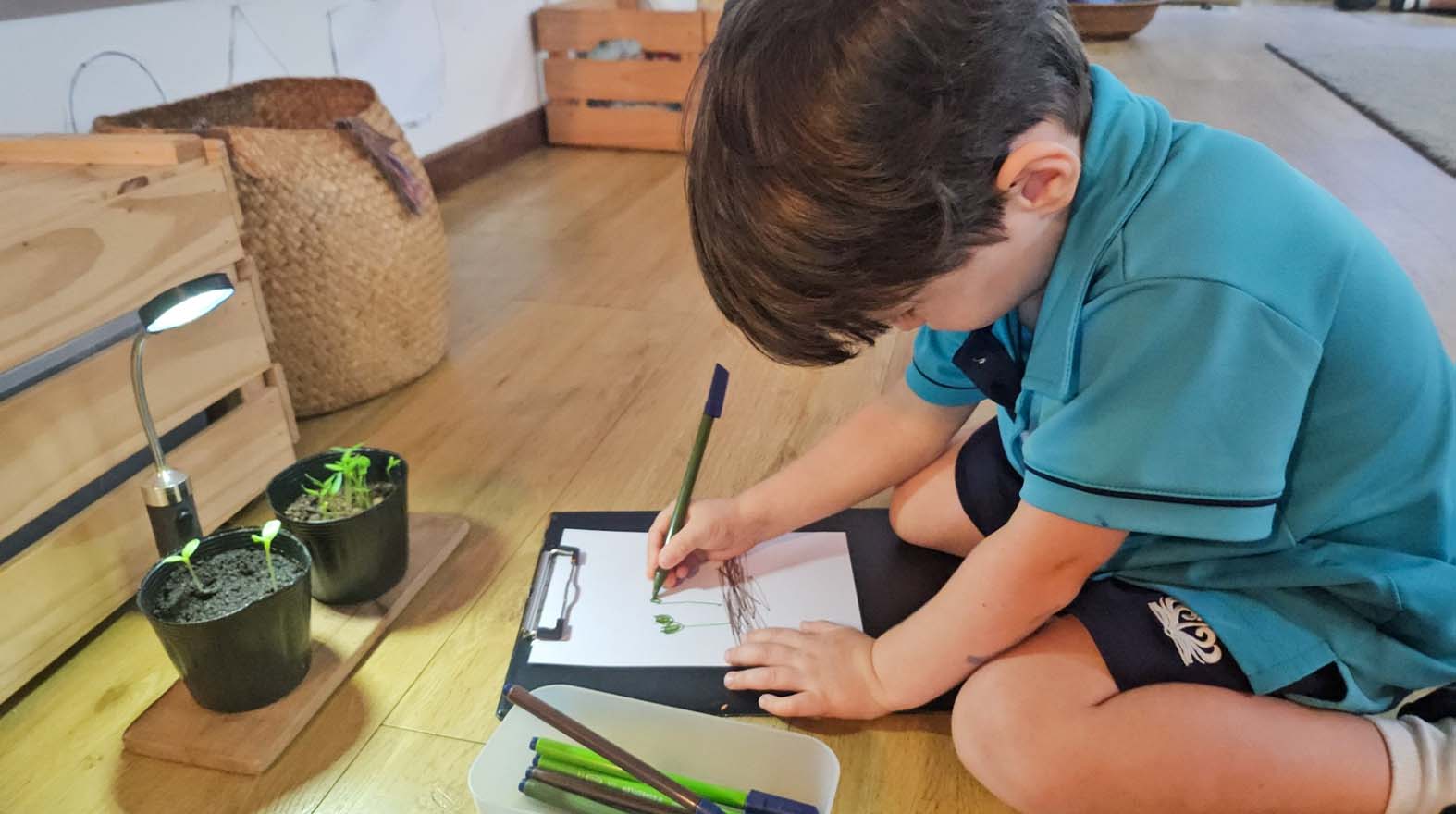 Early Years Learning in Action: How Nature Sparks Curiosity at Dover Court - Carousel For News Detail - Nursery Garden