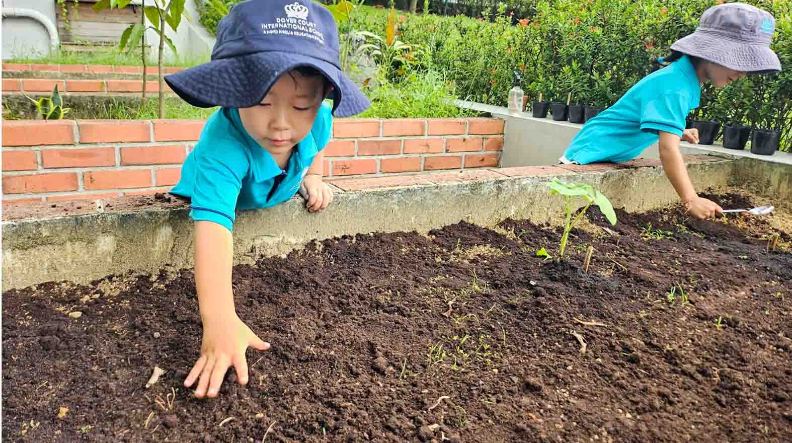 Early Years Learning in Action: How Nature Sparks Curiosity at Dover Court - Carousel For News Detail - Nursery Garden