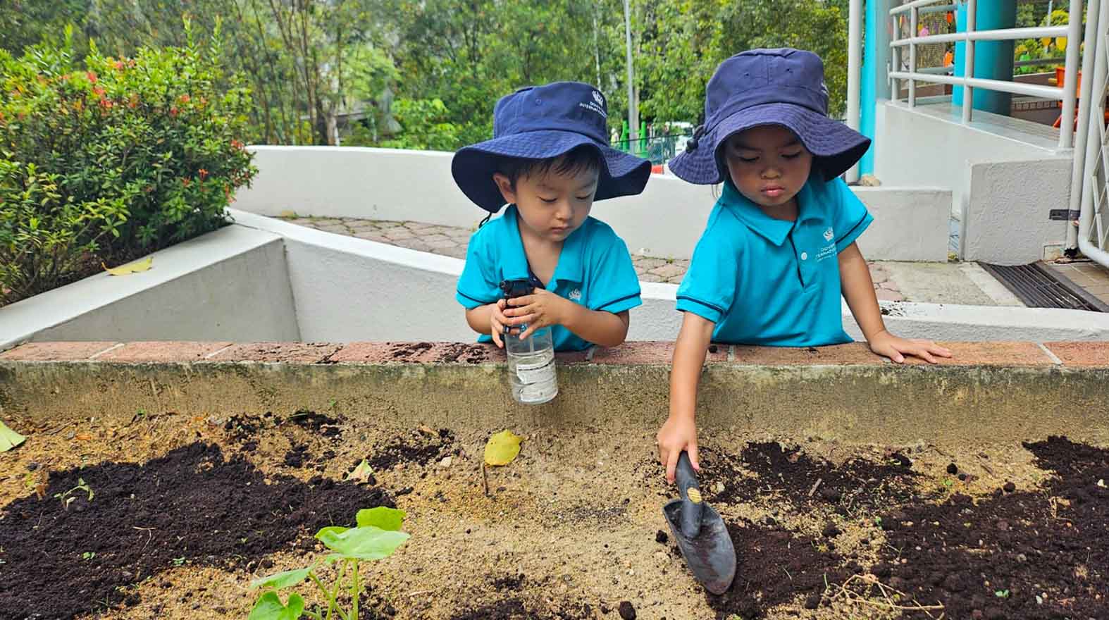 Early Years Learning in Action: How Nature Sparks Curiosity at Dover Court - Carousel For News Detail - Nursery Garden