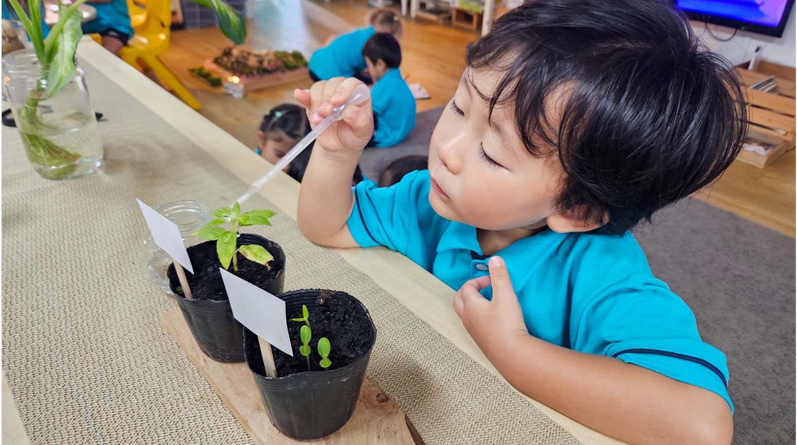 Early Years Learning in Action: How Nature Sparks Curiosity at Dover Court - early-years-hands-on-learning-dover-court-2026