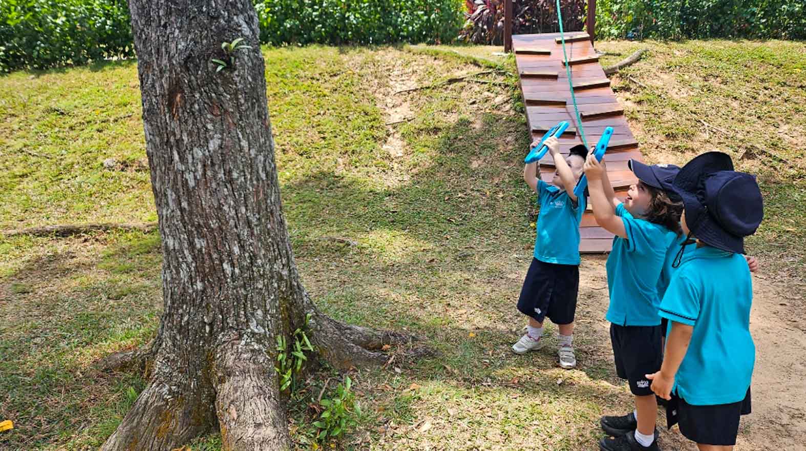 Early Years Learning in Action: How Nature Sparks Curiosity at Dover Court - early-years-hands-on-learning-dover-court-2026