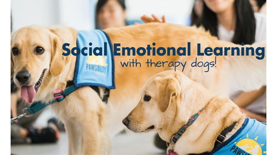 Pawsibilitys Social Emotional Learning workshop 01 540x329