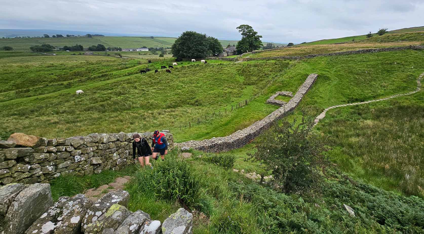 Running Hadrians Wall Dover Court Student Charlottes Journey - Running Hadrians Wall Dover Court Student Charlottes Journey