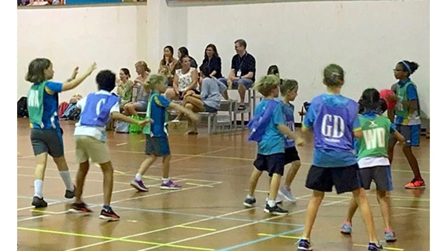 pagelinkimageNetballMatchatNexus