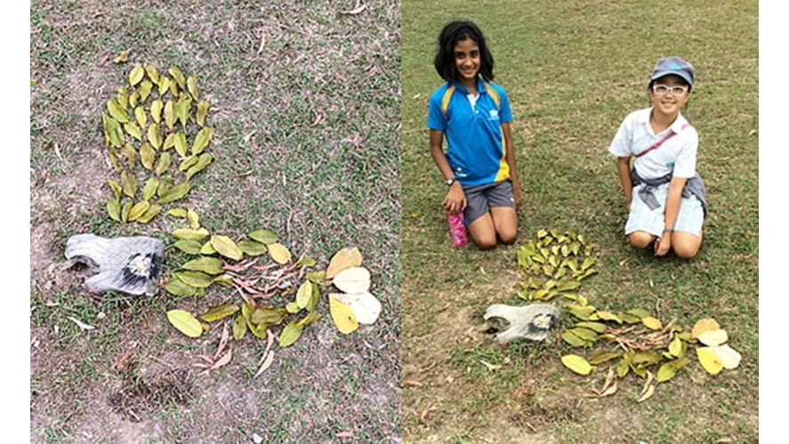 pagelinkimageArtChallengeECAAndyGoldsworthy