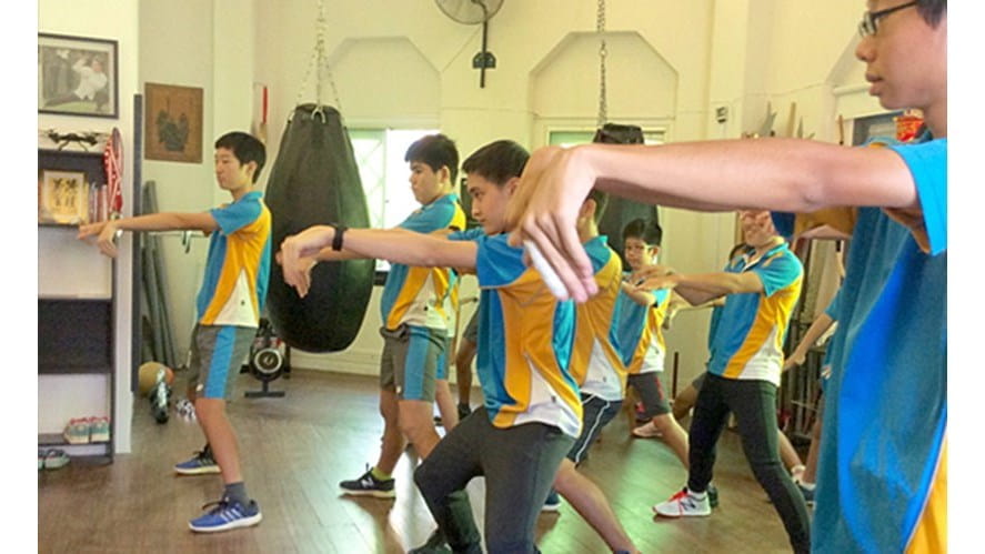 pagelinkimageVisittoSingaporeKungFuCentreandChinatown