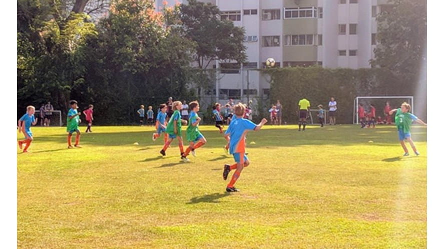 PagelinkimageSportsRoundup