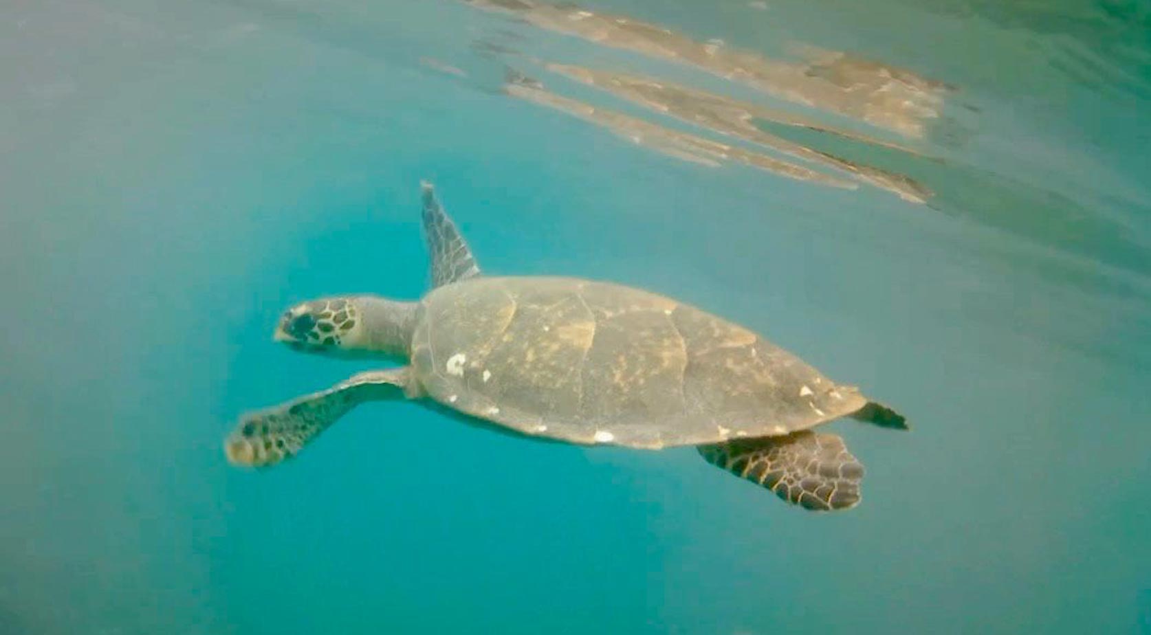 Year 12 Residential Trip to Tioman Malaysia - Carousel For News Detail - Year 12 Residential Trip to Tioman Malaysia