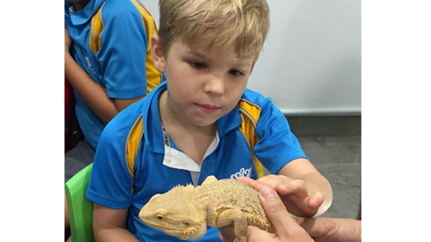 Year 3 A Night at the Zoo 180621 04 540x329