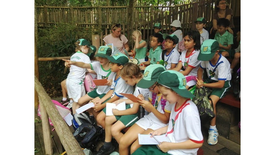 Year 4 Trip to Singapore Zoo!!-year-4-trip-to-singapore-zoo-Class 47 busy learning