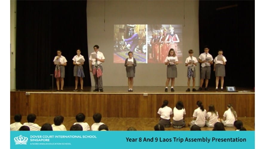 pagelinkimageyear89laostripassembly