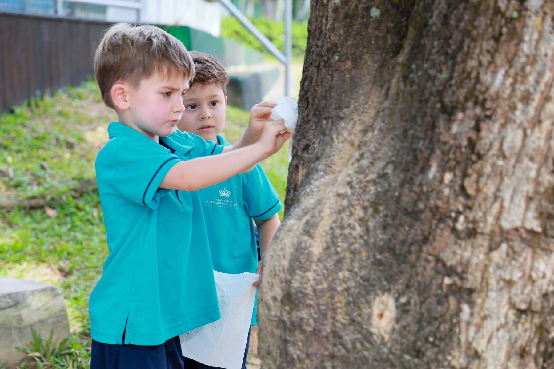 Play-Based Learning | Dover Court International School in Singapore - Visual Time Line Tabs