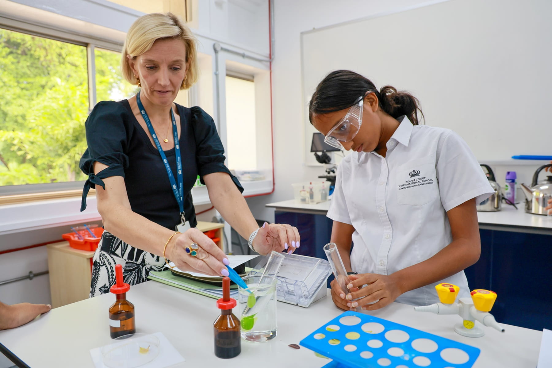 Pathway 2 | Dover Court International School - Visual Time Line