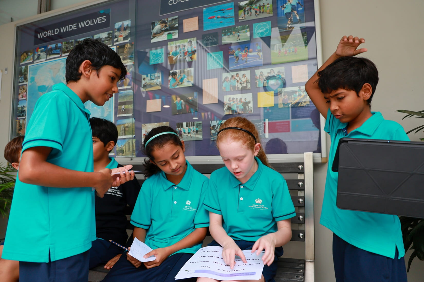 Pathway 2 | Dover Court International School - Feature Cards