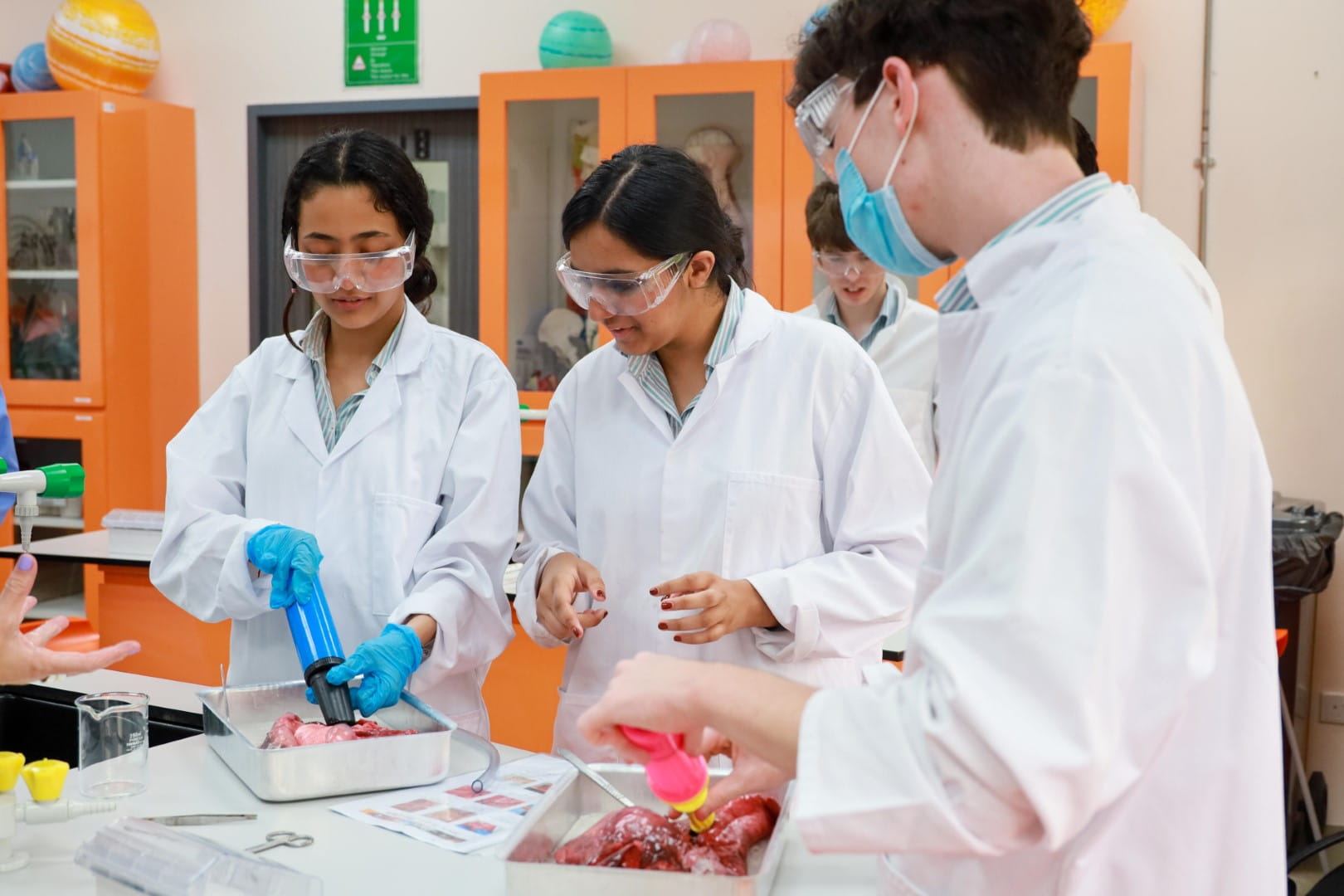 Dover Court International School in Singapore | Ages 3-18yrs - 03 - Carousel Default