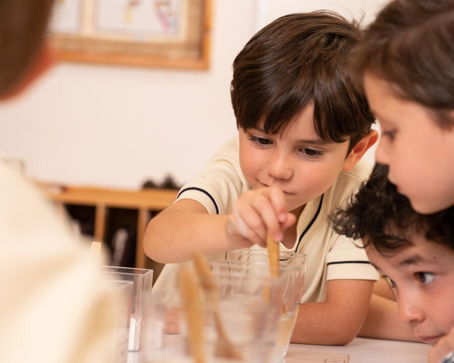 Image_ETON_Mexico_2022_461