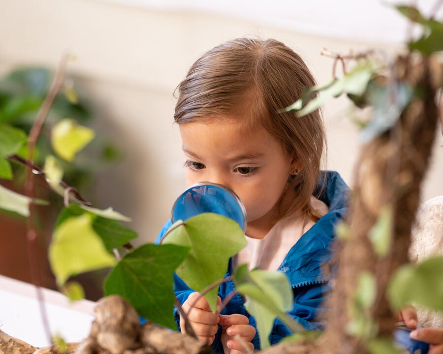 Campus | Eton School Mexico | Nord Anglia - Copy of Copy of 12 - 50 50 Eton Facilities Checklist