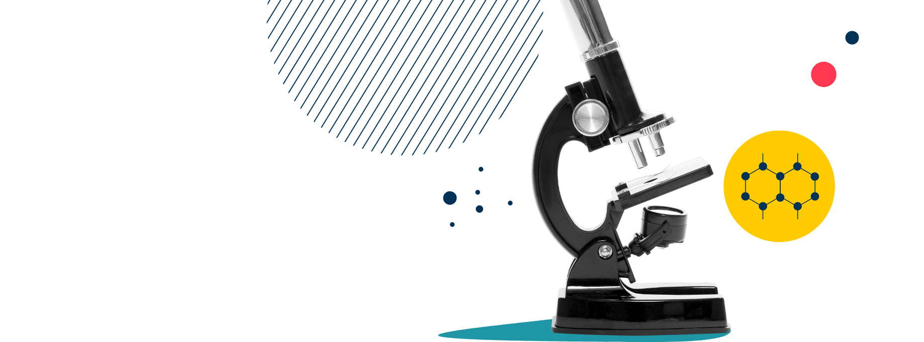 Eton School Mexico City | International School in Mexico | 2-18yrs - 051 - Feature Cards Pattern