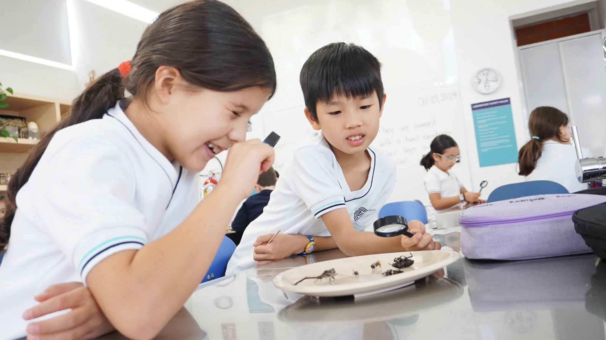 The Nord Anglia Education Family
