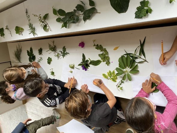 Beneficios de la naturaleza en niños | Eton School Mexico - Children and Nature