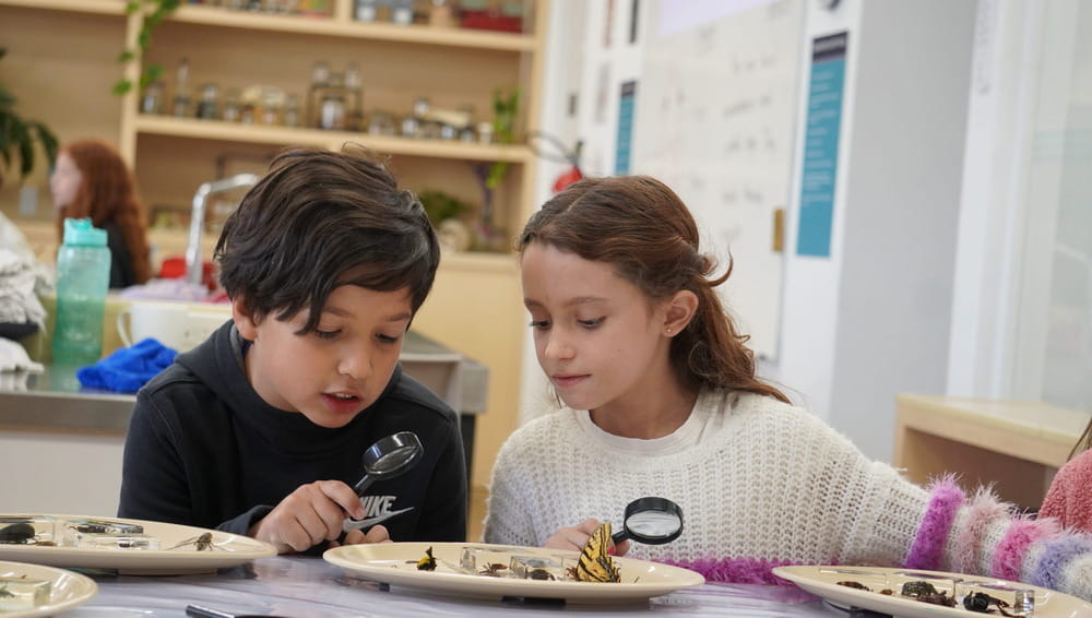 It's Easy To Apply To Eton School Mexico