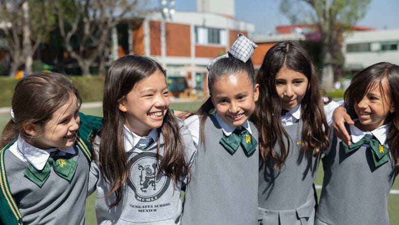 Greengates School Mexico | International School in Mexico City - Feature Cards Pattern