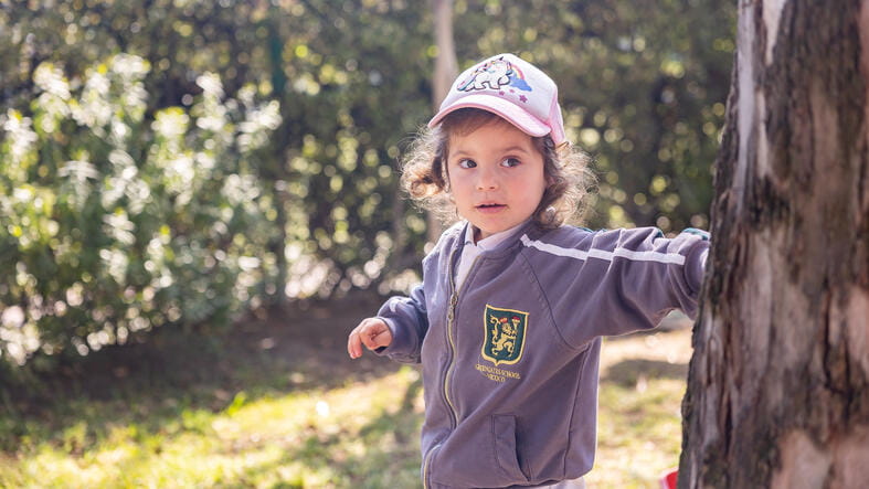 Greengates School Mexico | International School in Mexico City - Feature Cards Pattern