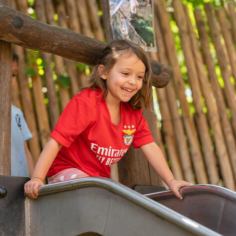 Image_ICS_Madrid_2022_314