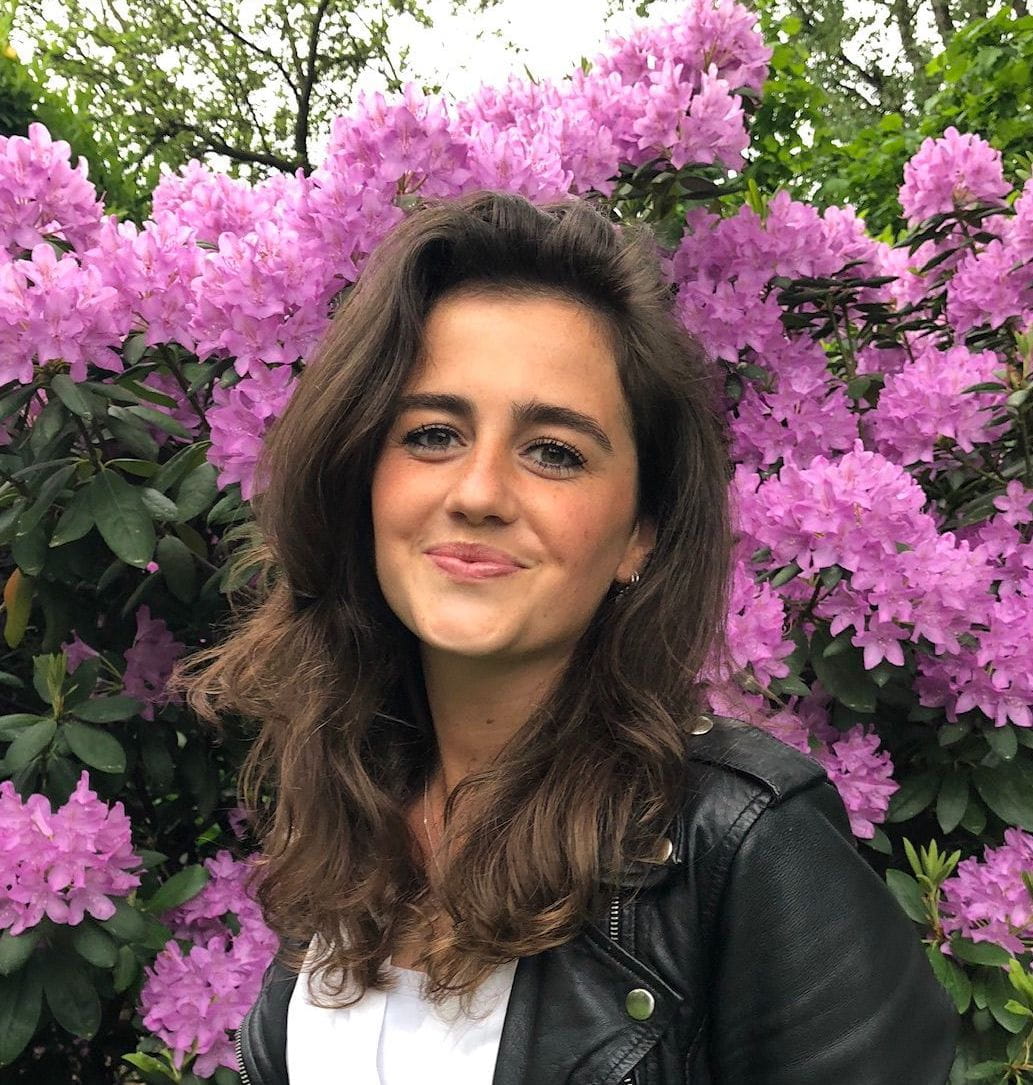 Academic Excellence | International College Spain - Feature Cards Pattern 1