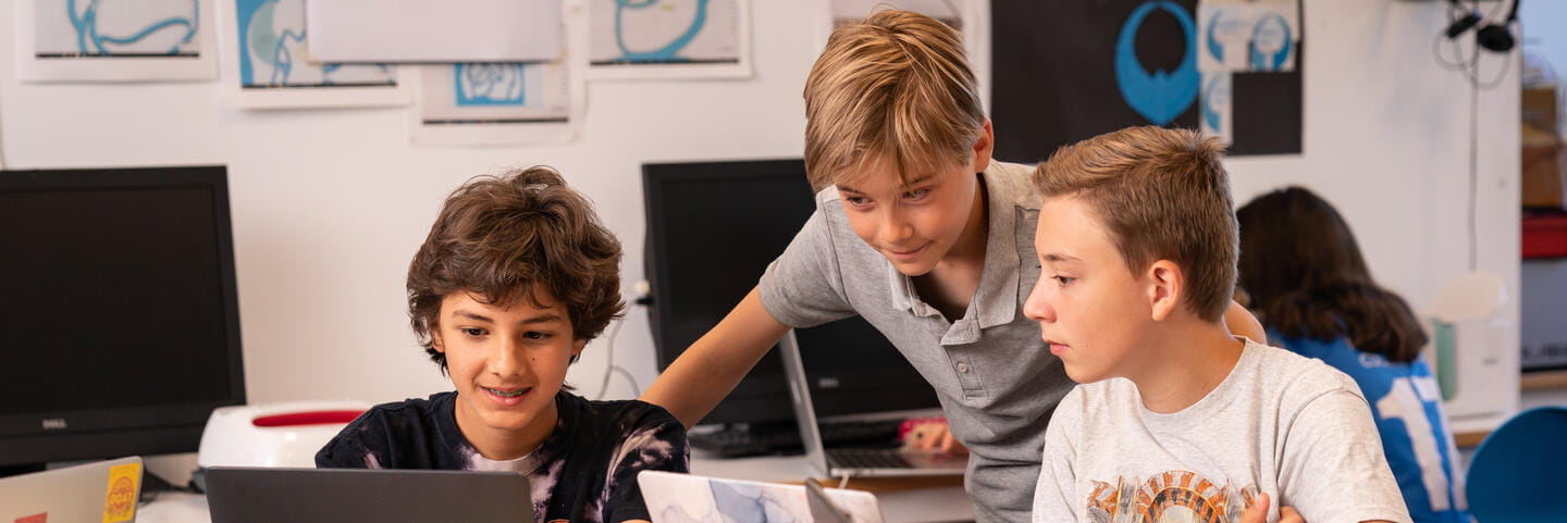 Boys looking at laptop