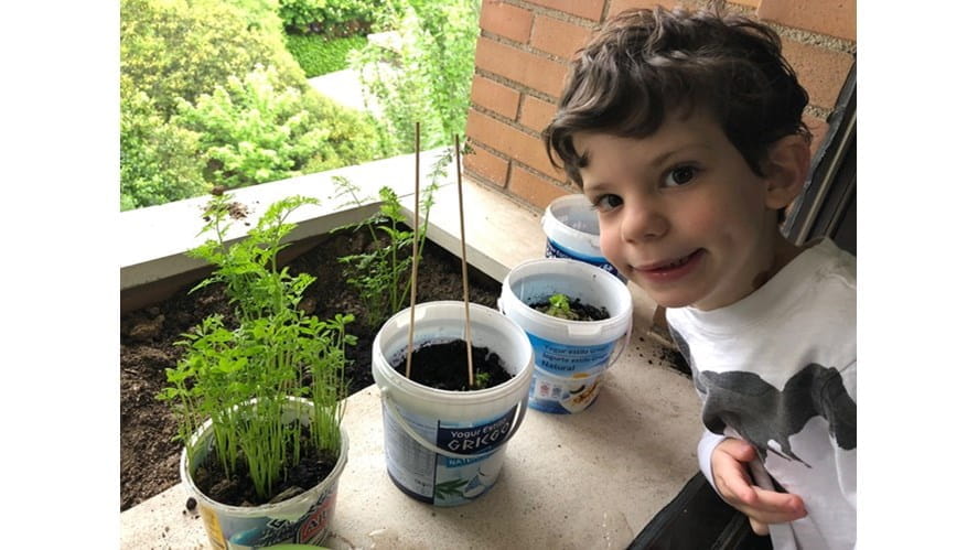 K4TH_Eyal_growing plants