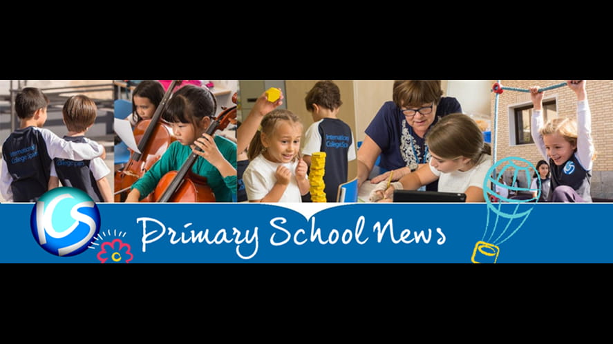 Primary School News-primary-school-news-primary news banner