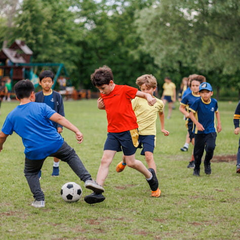 Image_ISM_Moscow_2022_039