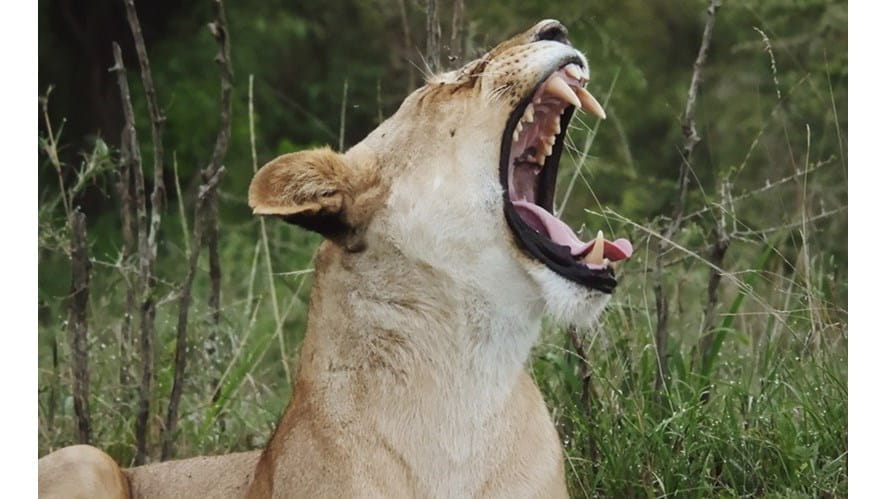 linkimage 43E2F6861E85431BA31CDD830C66CF70 Ivan Samorukov